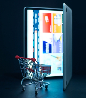 Kurumsal ve E-Ticaret Altyapılı Web Site Hizmeti